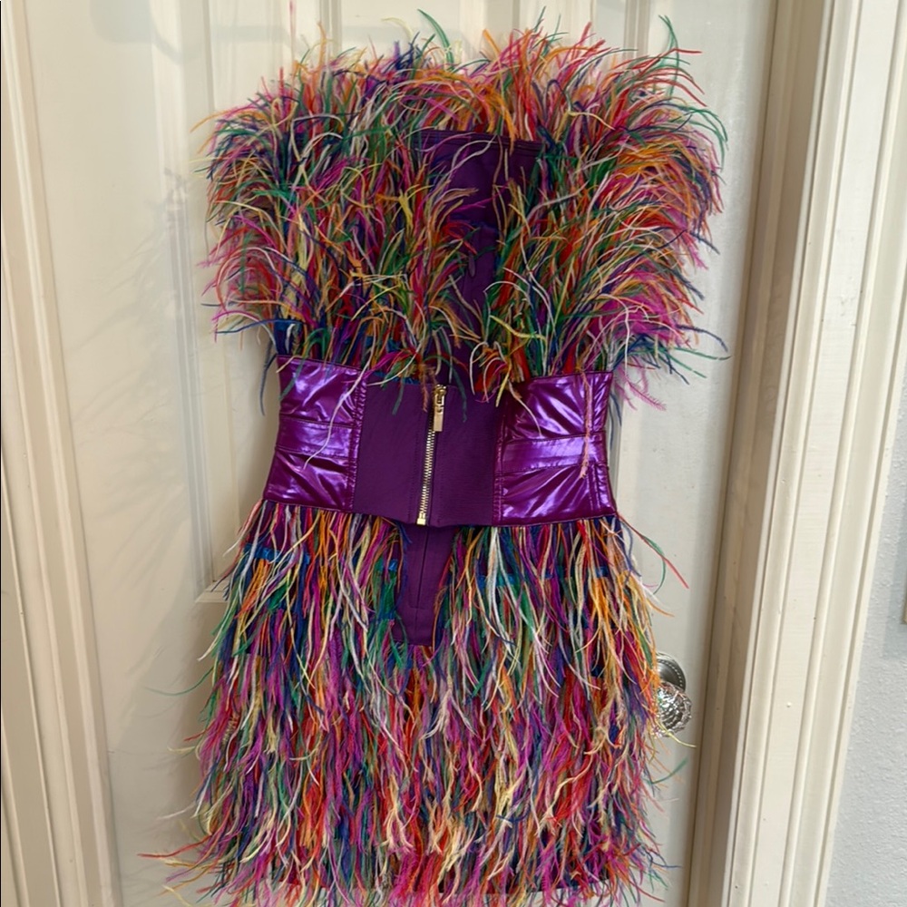 Colorful Feathered Dress with Purple Band - Picture 4 of 6